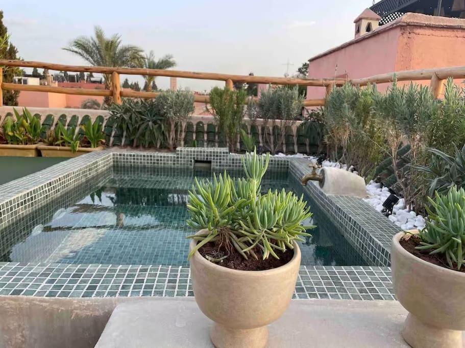 Riad Ptit Kech, Bassin Terrasse - Petits Dejeuners Marrakesh Bagian luar foto